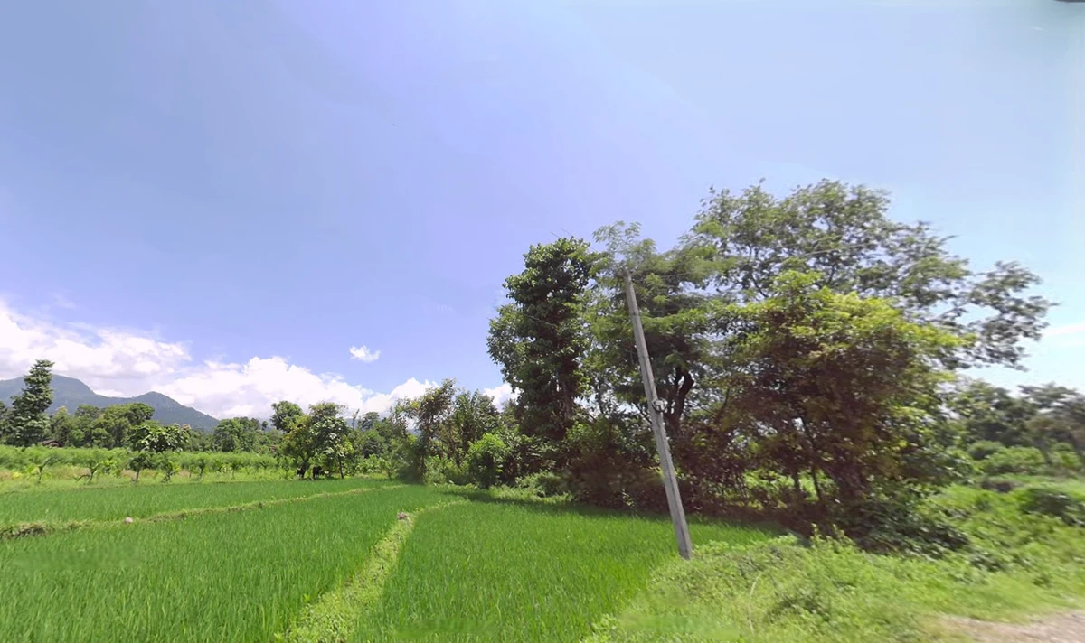 Samalbong, West Bengal 734201, India