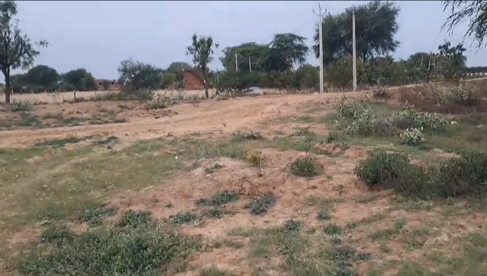 46RX+V49, NH 11, Hantra, Arauda, Rajasthan 321028, India