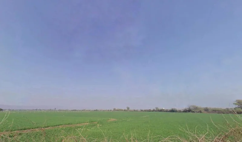 WHPQ+W32, Bariel, Rawatbhata, Baroli, Rajasthan 323307, India preview 2