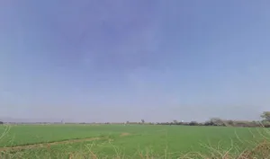 WHPQ+W32, Bariel, Rawatbhata, Baroli, Rajasthan 323307, India preview 2