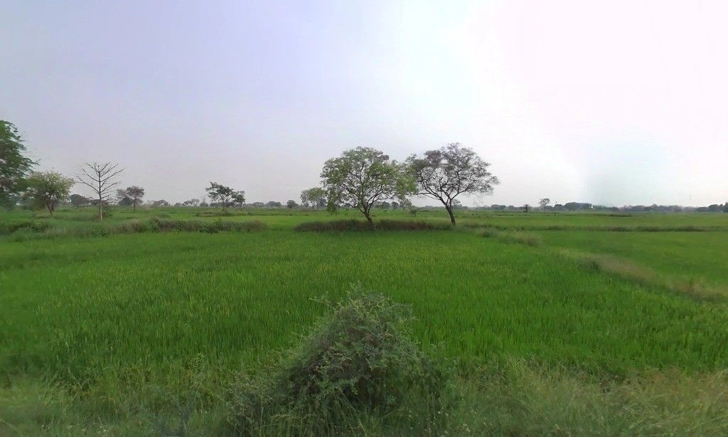 Odka, Chhattisgarh 493441, India preview 2