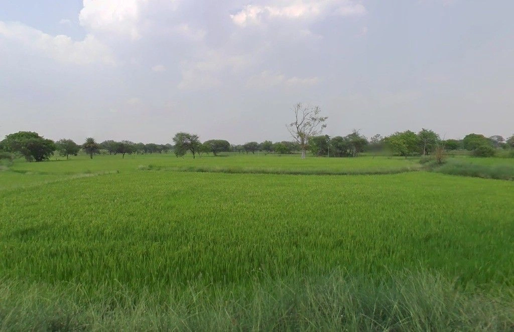 Chhachhanpairi, Chhattisgarh 493661, India