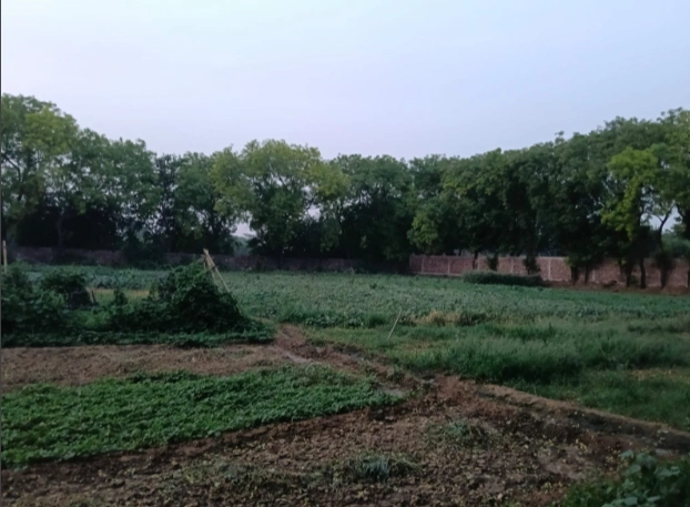 21B, Bijwasan, New Delhi, Delhi, 110061, India