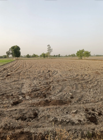 Kharar, Punjab 140301, India