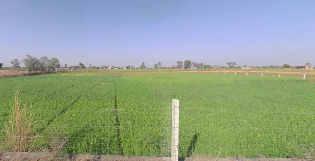 Jai Singhwala, Punjab 151005, India