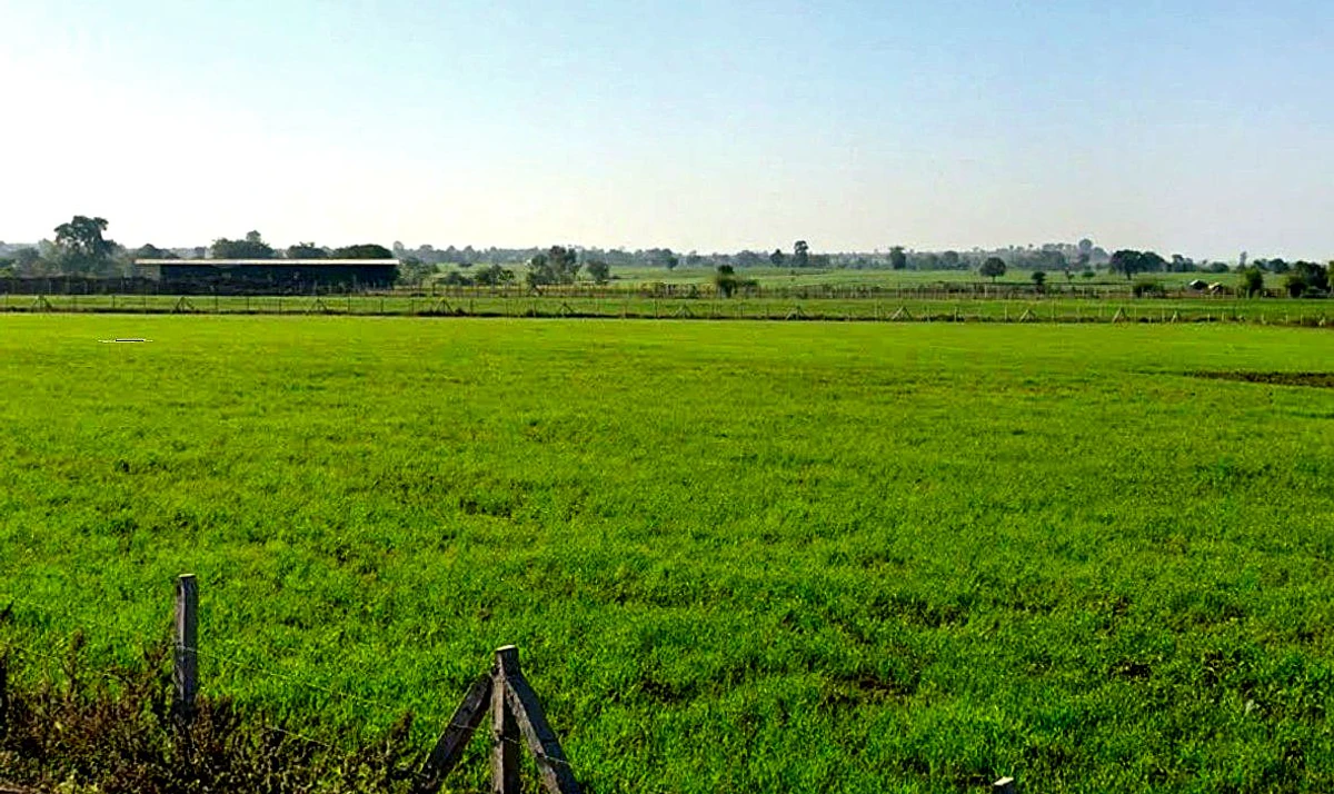 Khokhari, Madhya Pradesh 466001, India