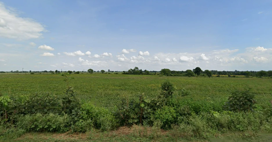 Tajkhajuri, Madhya Pradesh 464221, India
