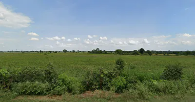 Tajkhajuri, Madhya Pradesh 464221, India preview 2