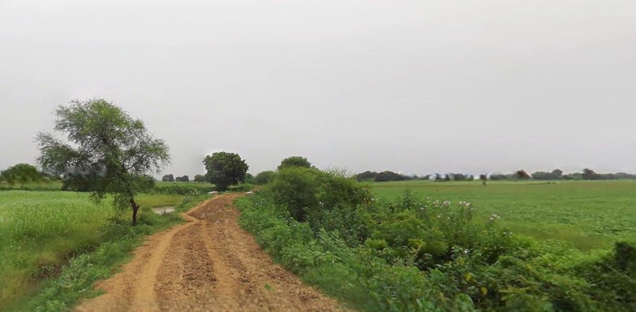 Mohanlalganj, Uttar Pradesh 226301, India