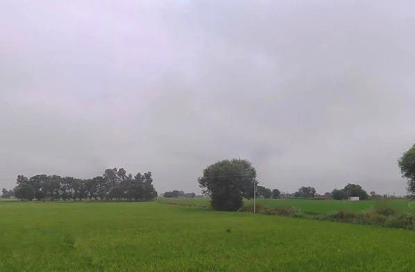 Nihal Singh Wala, Punjab 142055, India