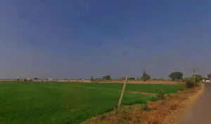 Railway Crossing, Mandideep, Bamuliya Pawar, Bhopal, Madhya Pradesh 462046, India preview 2