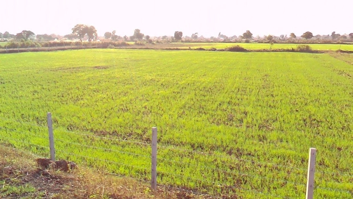 Jhurjhuru, Madhya Pradesh, India