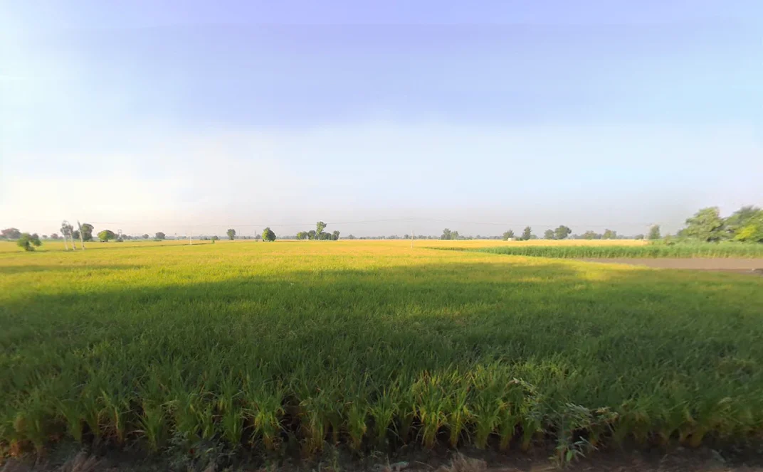 Kariwala, Haryana 125075, India preview 2