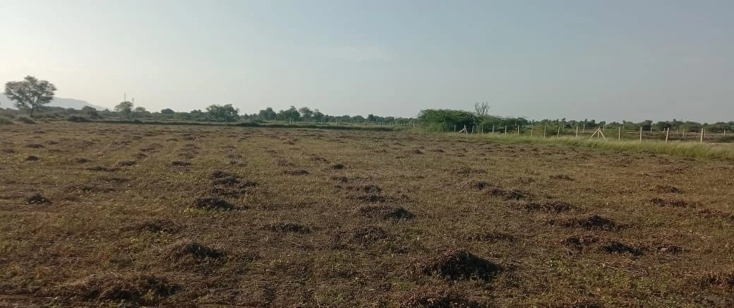 Chidwai, Rajasthan 301026, India preview 2