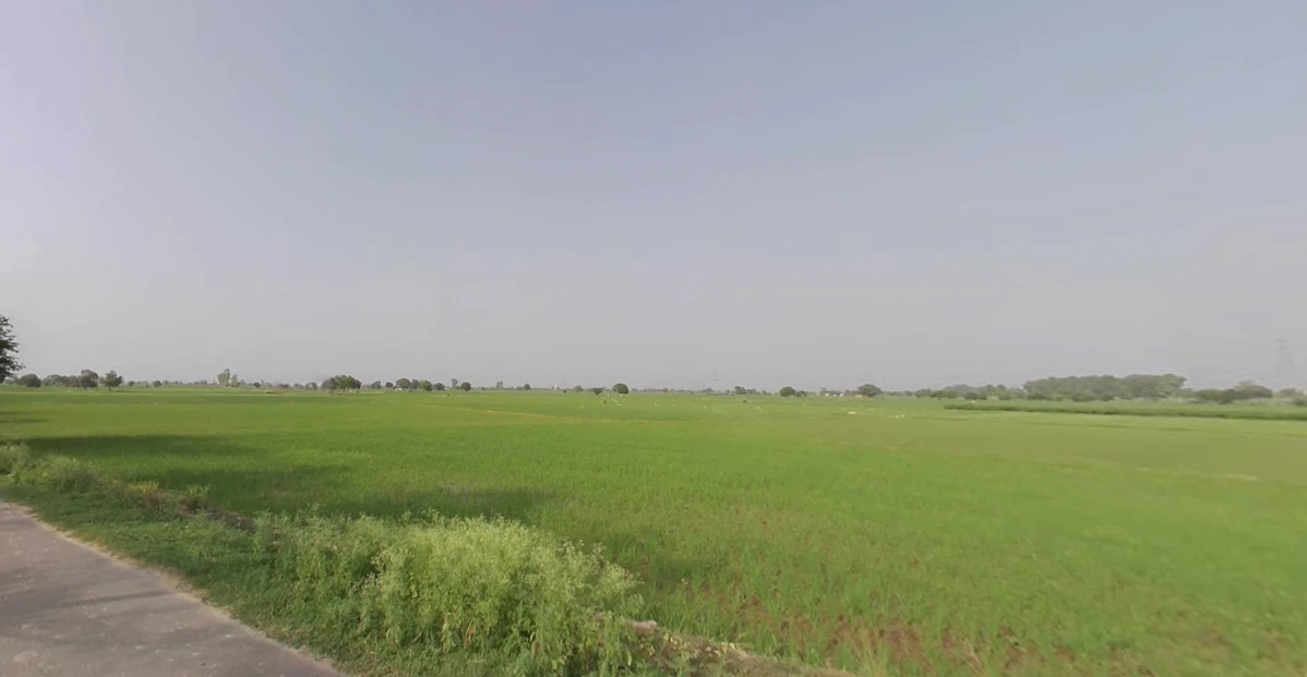 Basta, Odisha, India