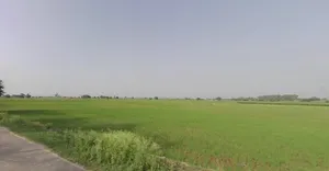 Basta, Odisha, India preview 2