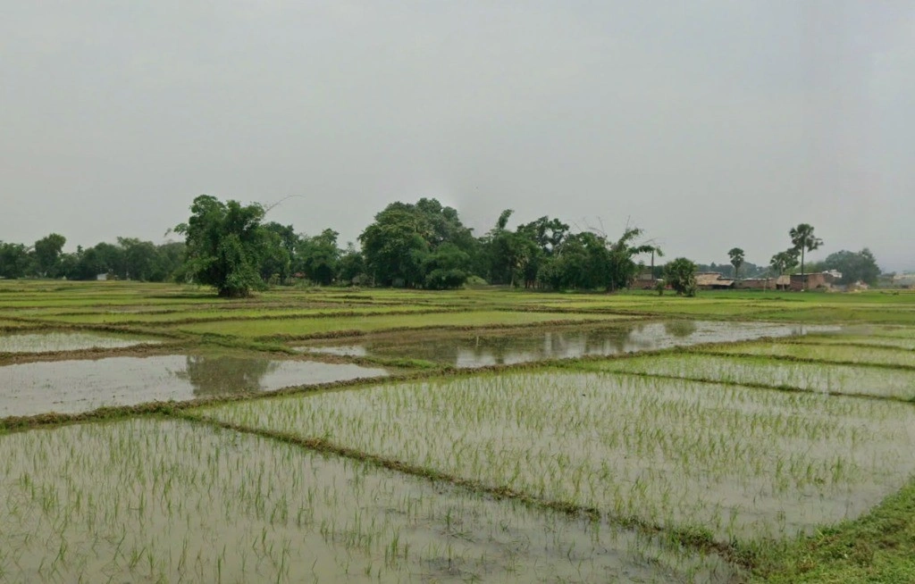 MC95+GGR, Deorbeeja, Chhattisgarh 491993, India