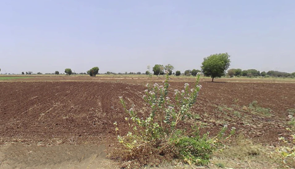 Kundiya, Madhya Pradesh 451001, India