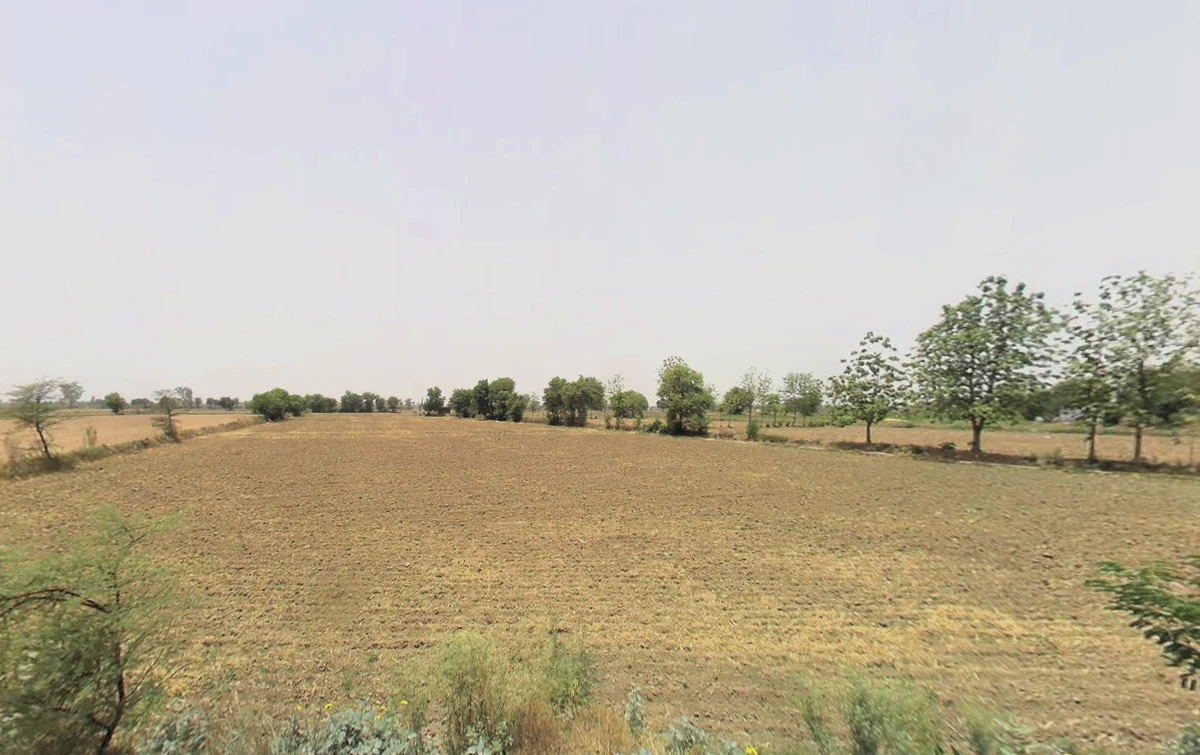 Jharli, Haryana 124106, India