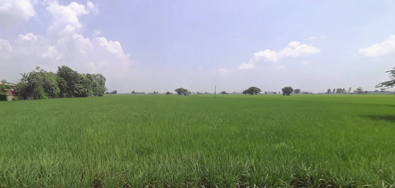 VGR9+4GH, Rupnagar, Punjab 140108, India