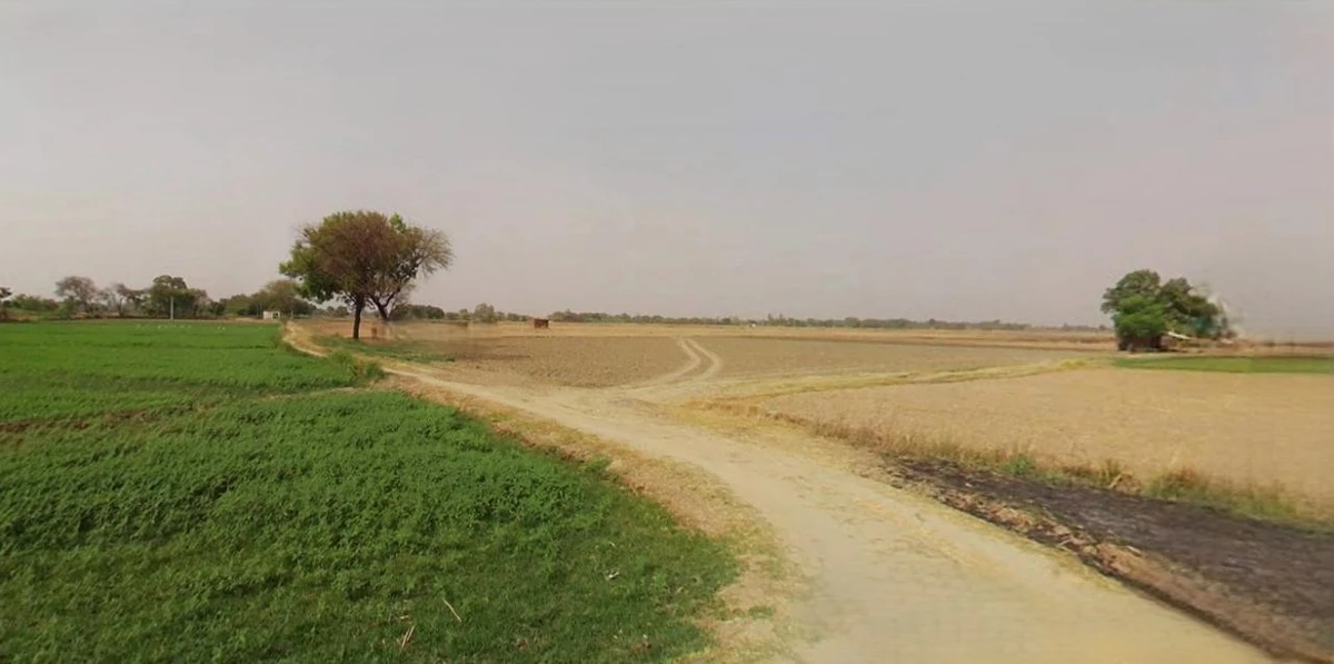 Sri Ganganagar, Rajasthan, India