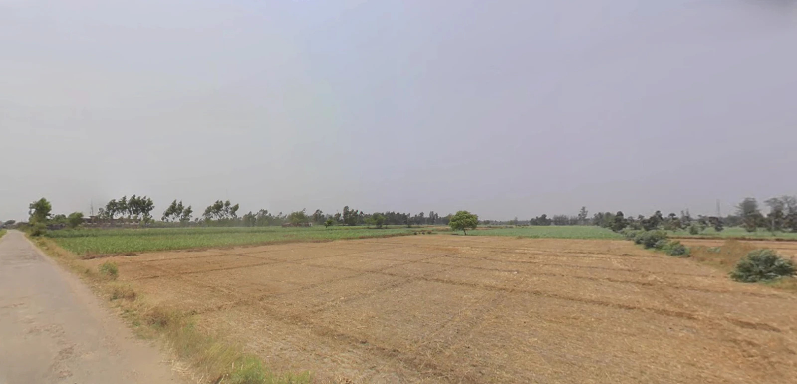 Puranpur, Uttar Pradesh 262122, India