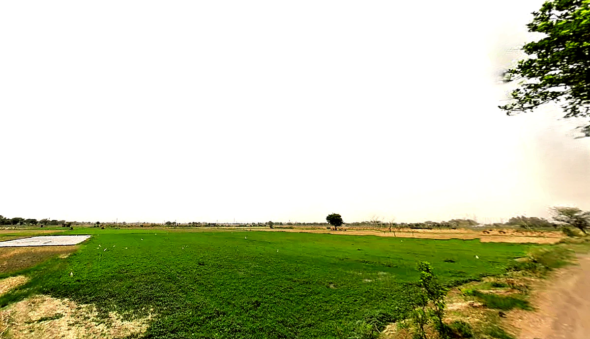 Pataudi, Haryana 122503, India