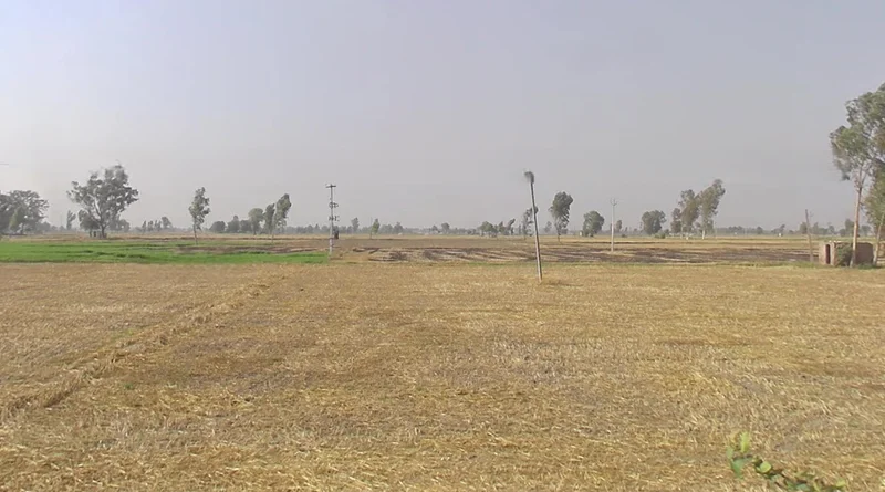 Rajpura, Punjab, India preview 2