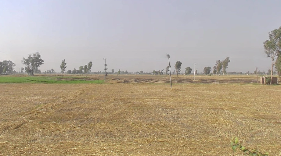 Rajpura, Punjab, India