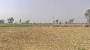 Rajpura, Punjab, India preview 2