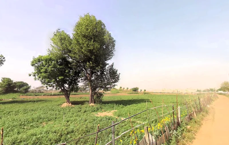 Sector 76, Gurugram, Haryana, India preview 2