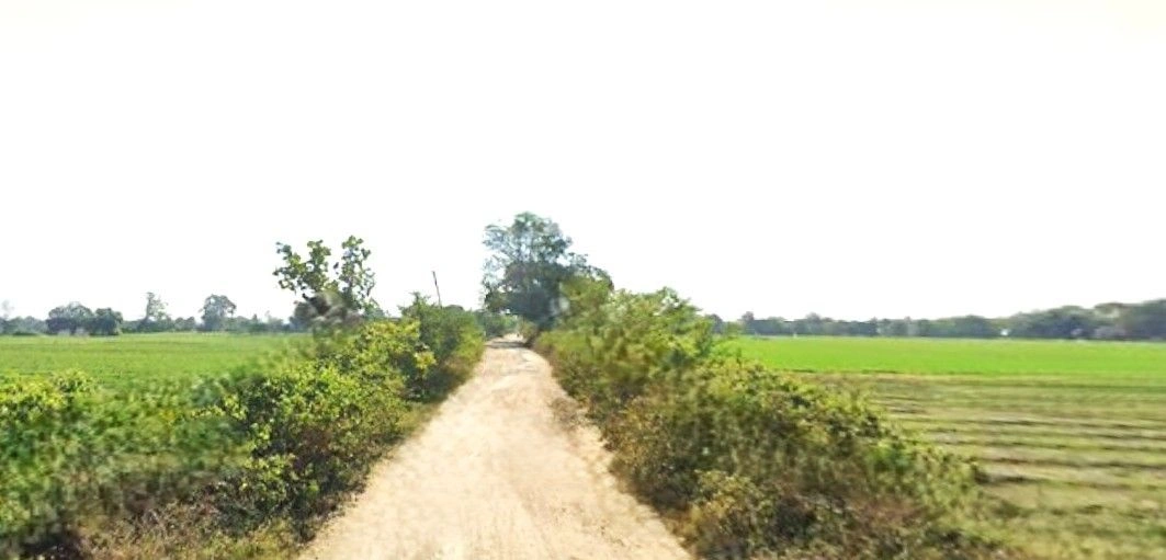 Panched, Madhya Pradesh 457222, India