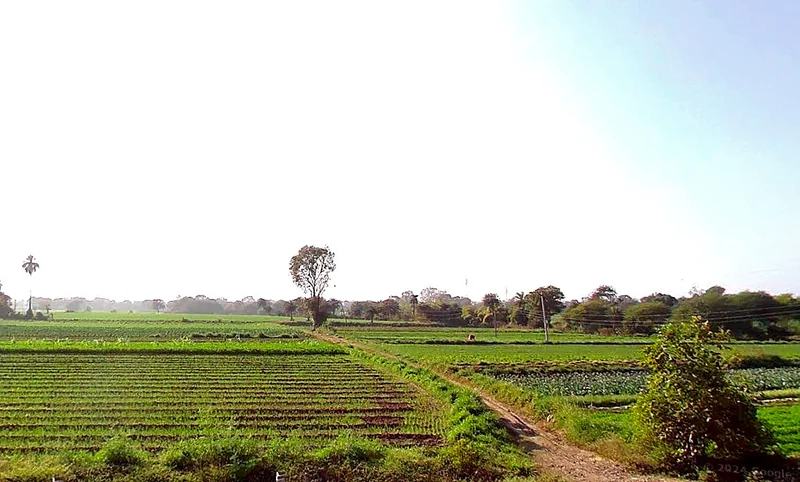 JPQH+P9C, Bagoda, Madhya Pradesh, India preview 3