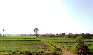 JPQH+P9C, Bagoda, Madhya Pradesh, India preview 3