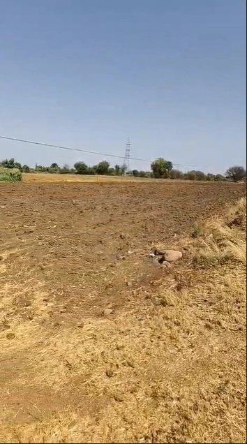 Beechhi, Sonbhadra, Uttar Pradesh 231216, India