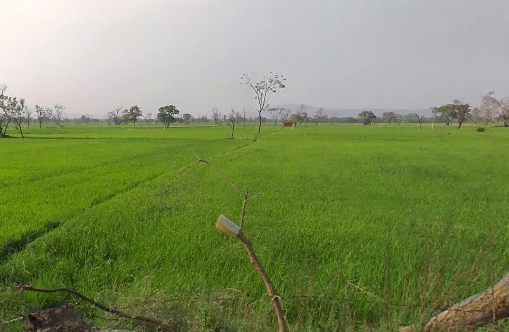 Chhechhar, Chhattisgarh 493344, India