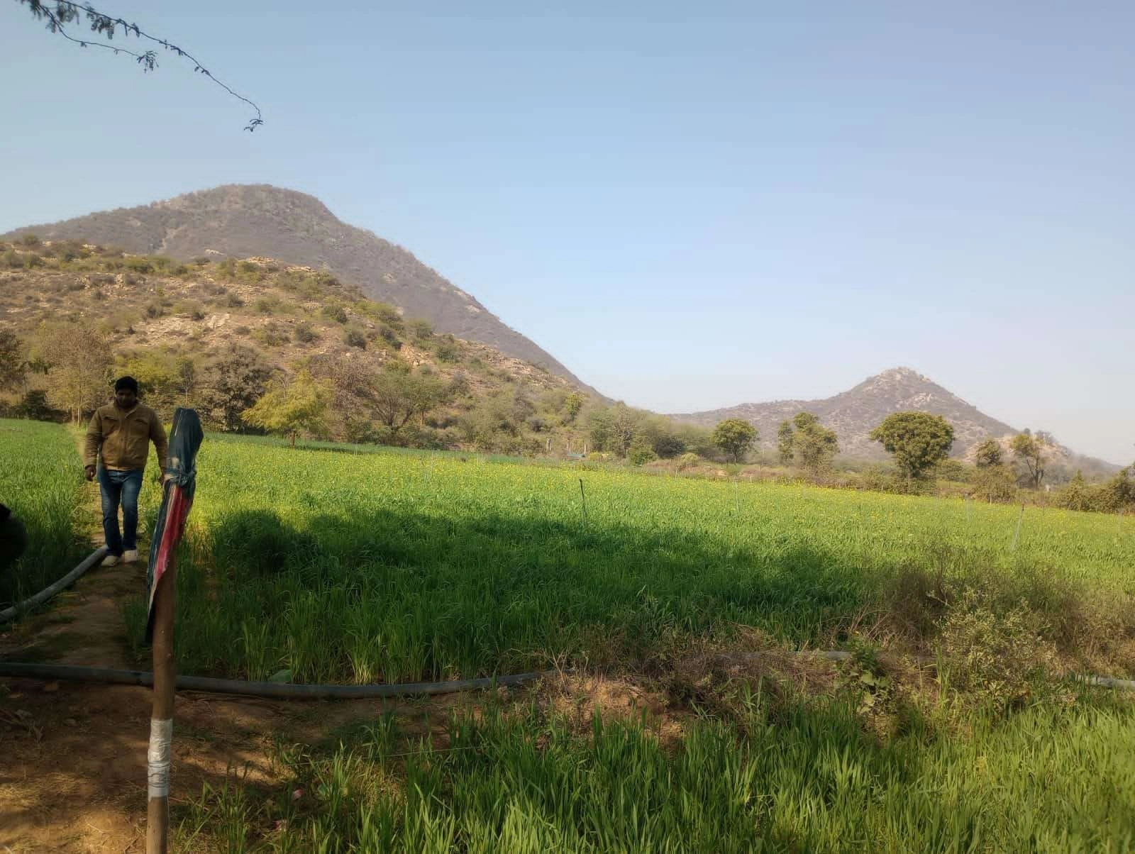 JHHF+65 Hajipur, Rajasthan, India