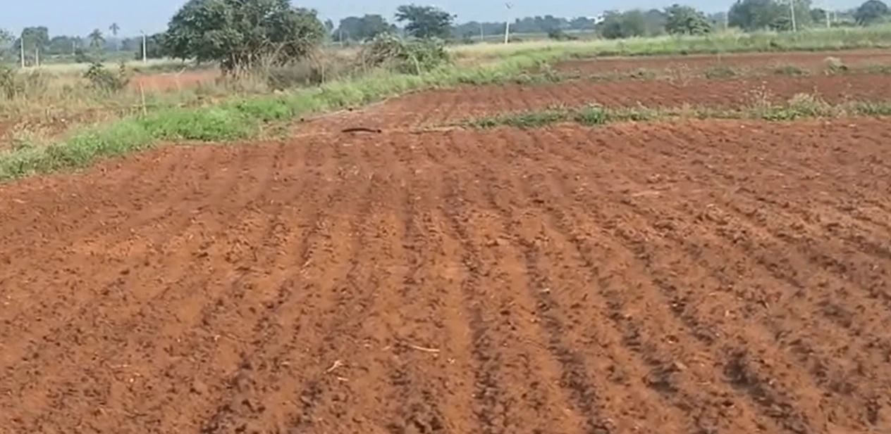 G979+9H Tadoor, Nagarkurnool, Telangana, India