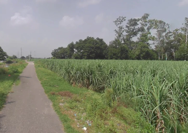 3H78+VPH, Baram, Uttar Pradesh 250502, India