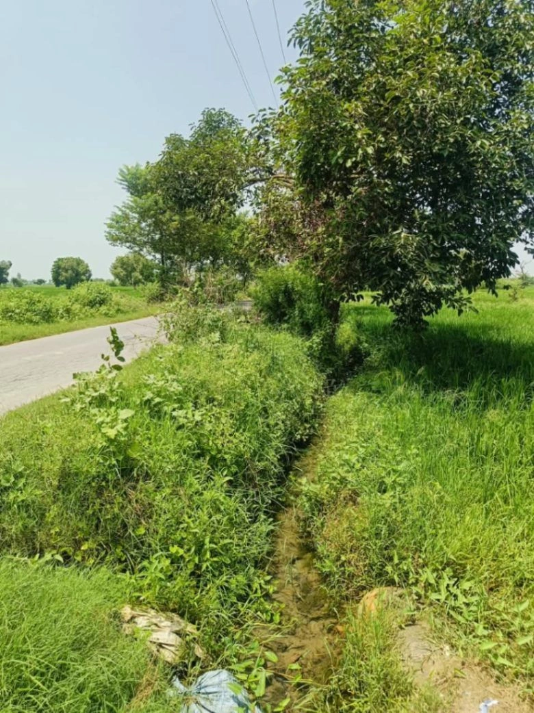 Gora, Mathura, Uttar Pradesh 281404, India