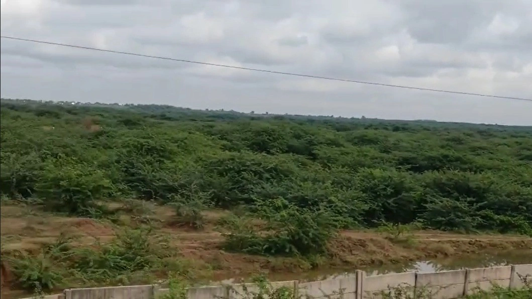 G6F9+3P Kota Khurd, Rajasthan, India