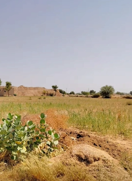 Bhanipura, Rajasthan 331411, India