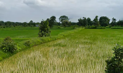 Mudpar 1, Chhattisgarh 493225, India preview 3