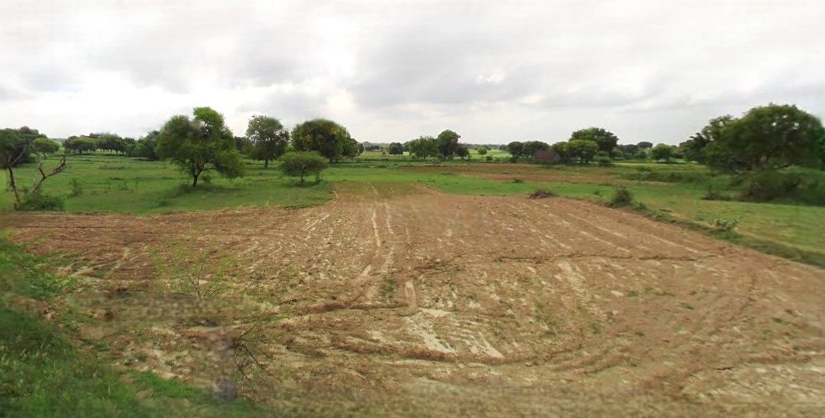 Chandausi, Uttar Pradesh 244412, India