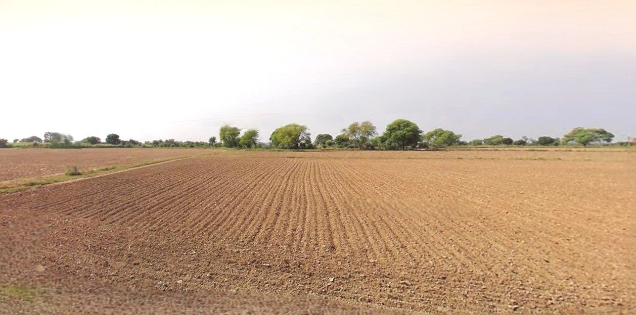 Bilari, Uttar Pradesh 244411, India