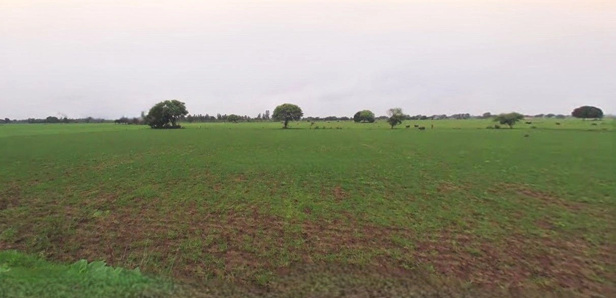 Hasanpur, Uttar Pradesh 244241, India