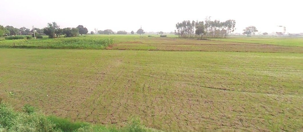 Jansath, Uttar Pradesh 251314, India
