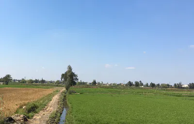 NH 47, Indore, Madhya Pradesh, India preview 3