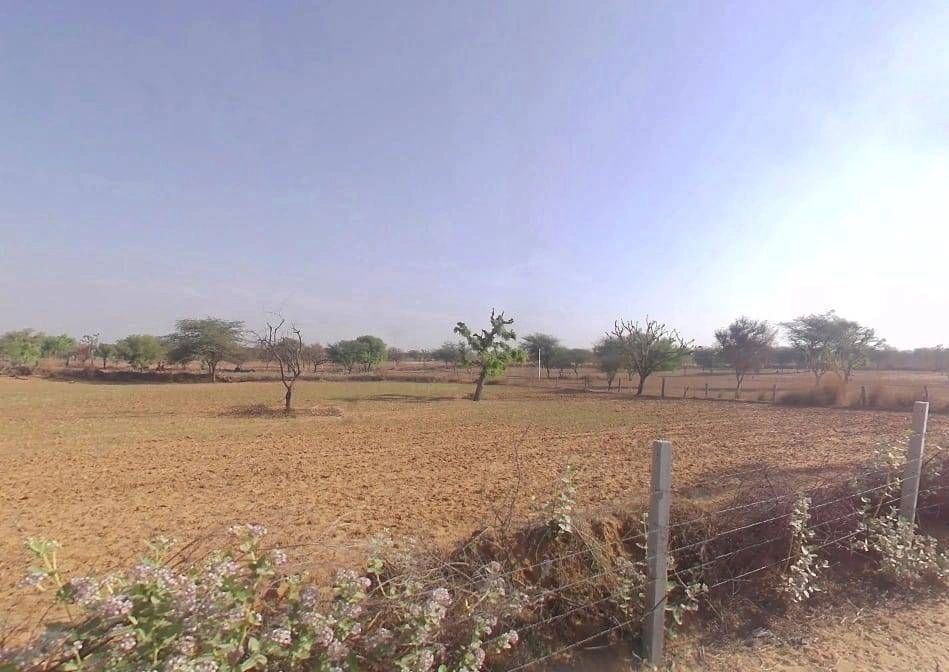 Palsana, Rajasthan 332402, India