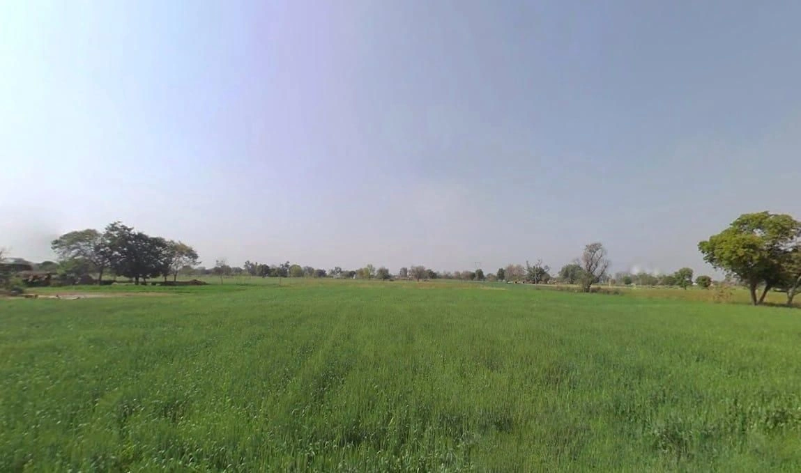 Bamboli, Rajasthan, India preview 2